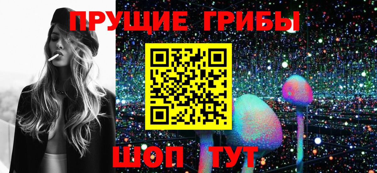 Электросталь  Псилоцибиновые грибы мицелий  Вход с VPN 